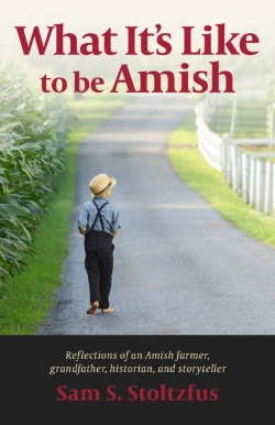 Bertrand.pt - What It'S Like To Be Amish