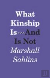 What Kinship Is-And Is Not