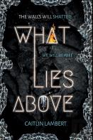 What Lies Above