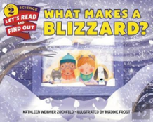 What Makes A Blizzard?