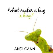 What Makes A Bug A Bug?