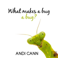 Bertrand.pt - What Makes A Bug A Bug?