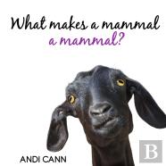 What Makes A Mammal A Mammal?