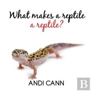 What Makes A Reptile A Reptile