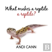 What Makes A Reptile A Reptile
