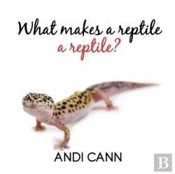 Bertrand.pt - What Makes A Reptile A Reptile