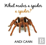 What Makes A Spider A Spider