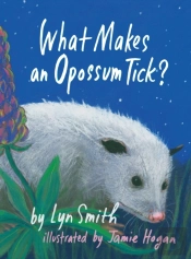 What Makes An Opossum Tick?