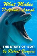 What Makes Dolphins Laugh