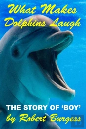 What Makes Dolphins Laugh
