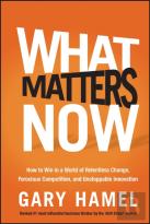 What Matters Now