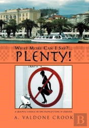 What More Can I Say? ... Plenty!