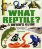 What Reptile A Buyers Guide