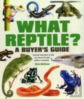 What Reptile A Buyers Guide
