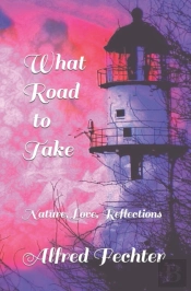 What Road To Take