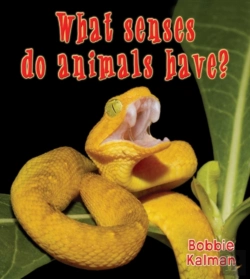 Bertrand.pt - What Senses Do Animals Have
