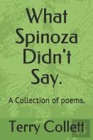 What Spinoza Didn'T Say.