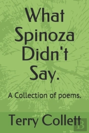 What Spinoza Didn'T Say.