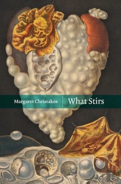 Bertrand.pt - What Stirs
