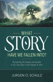 What Story Have We Fallen Into