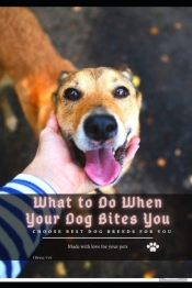 What TãÂ¾ Do When Your Dog Bites You