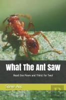 What The Ant Saw