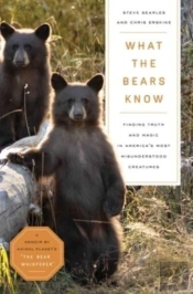 What The Bears Know