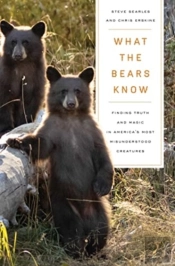 What The Bears Know