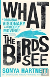 What The Birds See