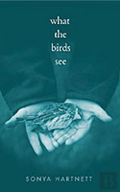 What The Birds See
