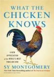 What The Chicken Knows