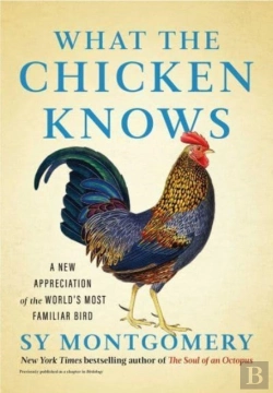 Bertrand.pt - What The Chicken Knows