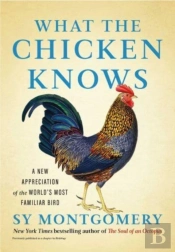 What The Chicken Knows