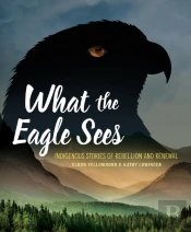 What The Eagle Sees