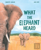 What The Elephant Heard