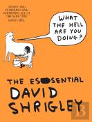 What The Hell Are You Doing?: The Essential David Shrigley