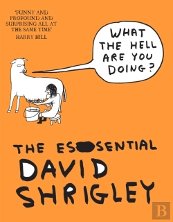 Bertrand.pt - What The Hell Are You Doing?: The Essential David Shrigley