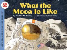 What The Moon Is Like