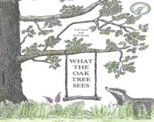 What The Oak Tree Sees