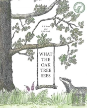 What The Oak Tree Sees