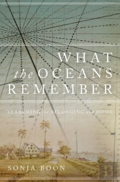 What The Oceans Remember
