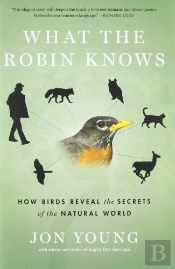 What The Robin Knows