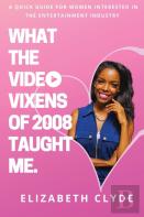 What The Video Vixens Of 2008 Taught Me
