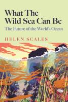 What The Wild Sea Can Be