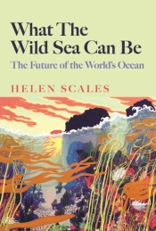 What The Wild Sea Can Be