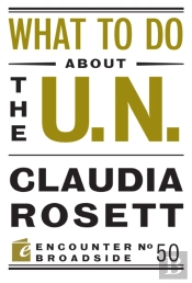 What To Do About The U.N.