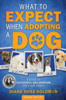 What To Expect When Adopting A Dog