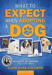 What To Expect When Adopting A Dog