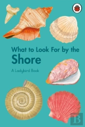 What To Look For By The Shore