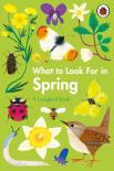 What To Look For In Spring